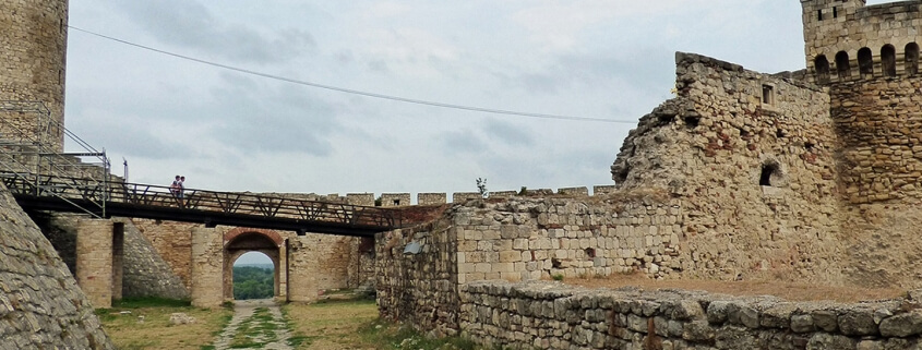 The Travel Connexion